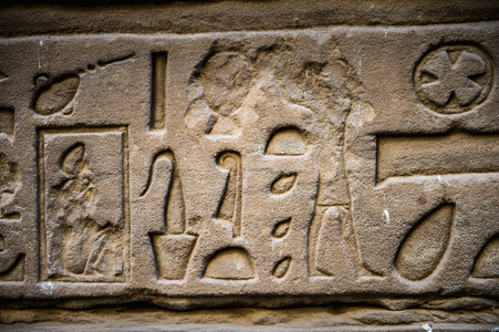 埃及象形文字埃及的荷鲁斯寺庙的墙上