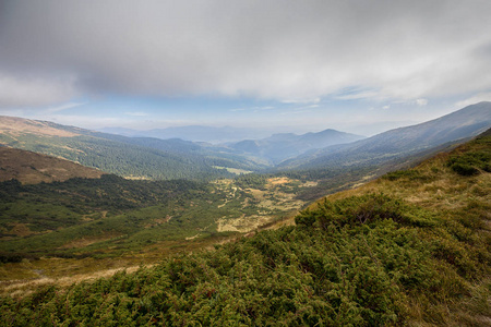 在高山高原上的杜松, 远处的山峰。喀尔巴阡山