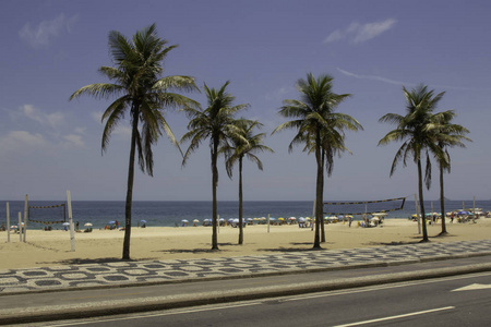 巴西里约热内卢依帕内玛海滩阳光下的棕榈树