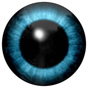 靛蓝玻球美丽的蓝眼睛, 明亮的光线反射.时尚蓝眼球玻璃照片