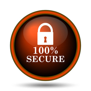 100 安全图标。白色背景上的互联网按钮