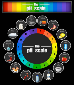 科学 ph 尺度模板例证