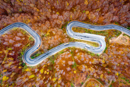 秋天的时候, 一条蜿蜒的风景秀丽的道路的鸟图, 上面有汽车和卡车在森林中穿行