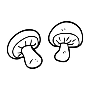 蘑菇线条图片大全