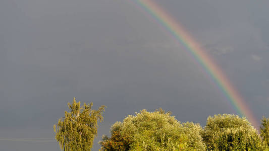 彩虹在一个炎热的夏天暴风雨的一天在一个领域的背景下黑暗的天空