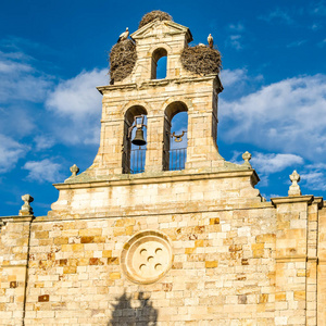 西班牙萨莫拉 卡斯蒂利亚和莱昂 塔楼上筑巢的古老罗马式教堂的景色