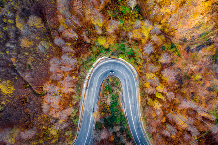 秋天的时候, 一条蜿蜒的道路的鸟图, 上面有汽车和卡车在森林中穿行