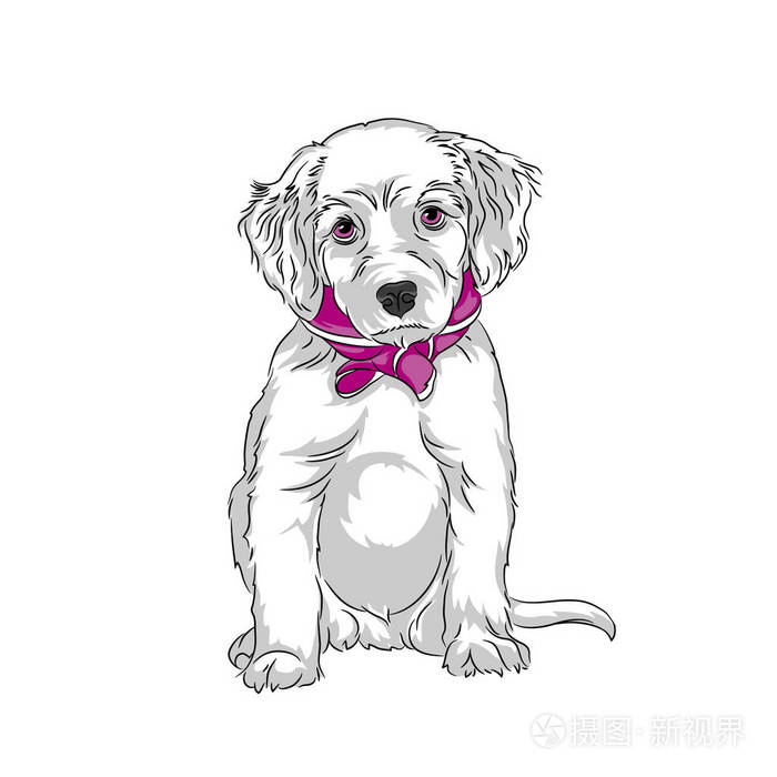 白狗插画-正版商用图片094q6i-摄图新视界