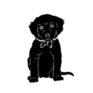 坐姿剪影拉布拉多犬坐姿矢量剪影.黑狗照片