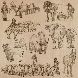 农场动物。手绘矢量包