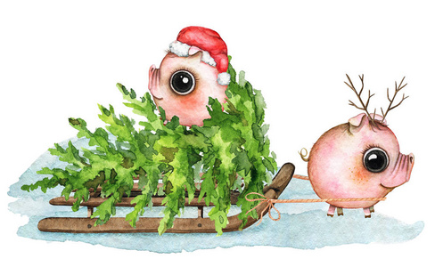 猪被浸猪笼图图片