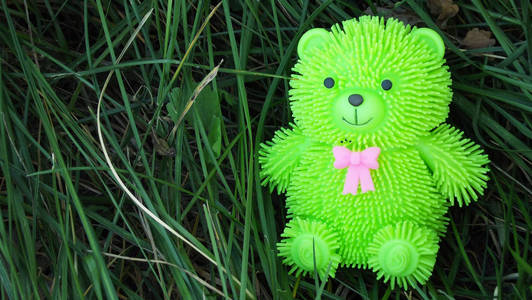 熊在草地上图片