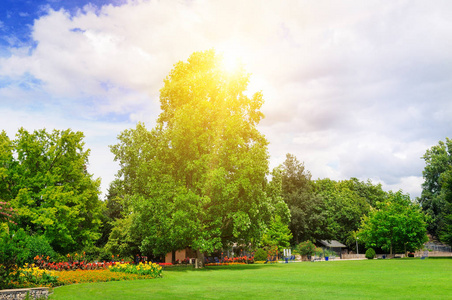 公园花坛图片 公园花坛素材 公园花坛插画 摄图新视界