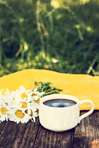 spresso 咖啡和夏天的花。夏季早餐