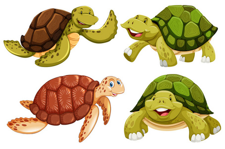 一组海龟插图