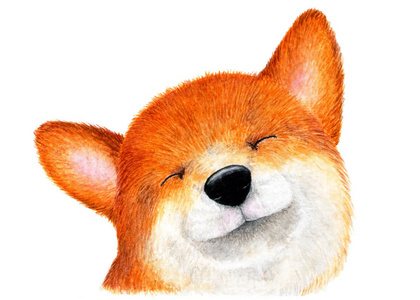 动物护照犬的画像, 秋田犬.水彩插图.快乐的柴犬狗享受生活.