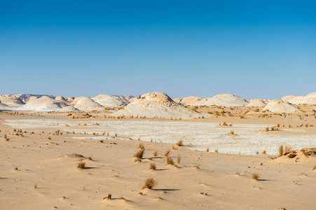 西方白色沙漠国家公园的埃及