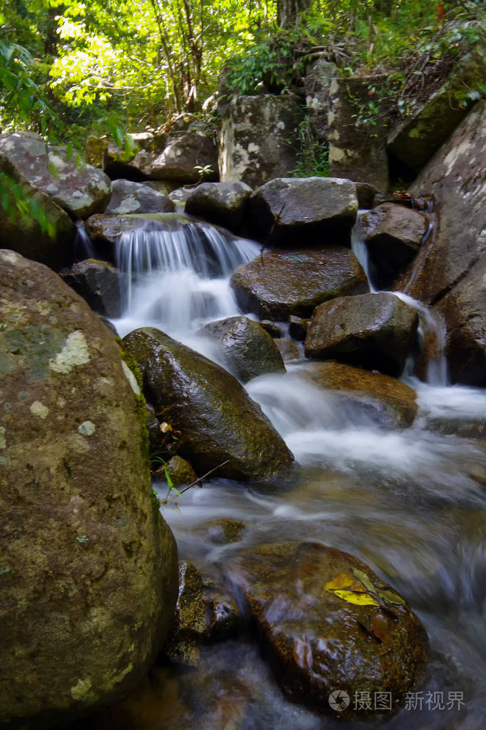 雨林里的小溪流.它构成了那些小但非常美丽的瀑布
