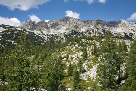 阿尔卑斯山