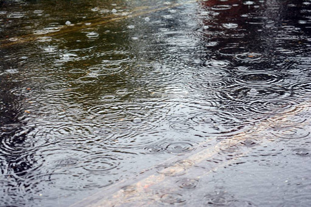 在雨中和显示树木的水水坑的道路。雨滴在水坑中荡漾