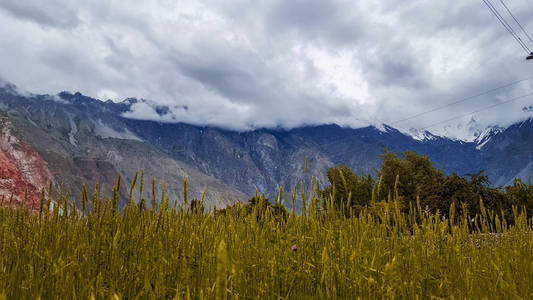 巴基斯坦罕萨河谷同等山的 Feilds 美景