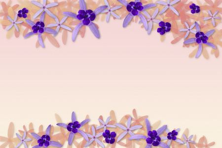 紫色花背景