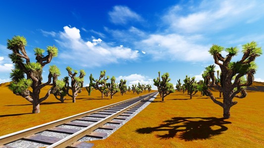约书亚树和铁路