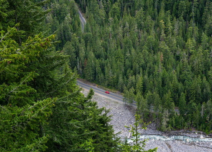 美国华盛顿州华盛顿国家公园一棵松树针叶林的孤红色汽车驾驶鸟瞰图