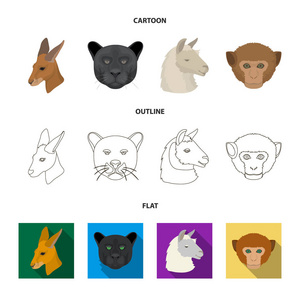 袋鼠, 骆驼, 猴子, 豹, 现实动物集合图标在卡通, 轮廓, 平面风格矢量符号股票插画网站