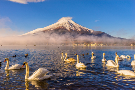 富士山日本图片