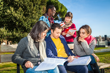 大学生在公园一起学习