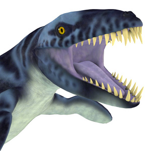 dakosaurus 是一种海洋生物爬行动物, 在侏罗纪和白垩纪期间在欧洲