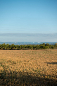 在西班牙 Castellon 的圣地亚哥和通过奥古斯塔的路