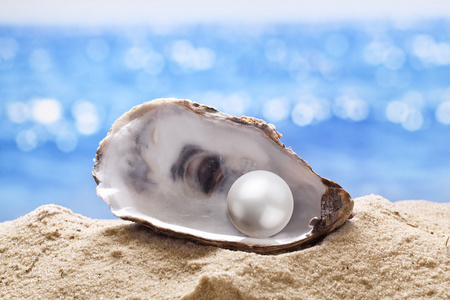 壳的一颗明珠照片