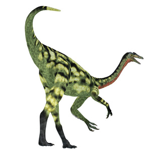 Deinocheirus 是在白垩纪期间居住在蒙古的食肉兽脚类恐龙。