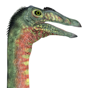 Deinocheirus 是在白垩纪期间居住在蒙古的食肉兽脚类恐龙。