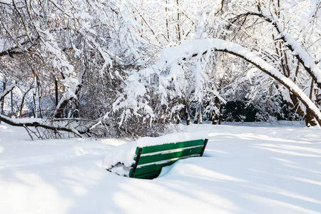 莫斯科城市花园雪盖长椅在阳光明媚的冬日清晨