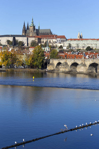 五颜六色的秋天布拉格哥特式城堡和查理大桥与小镇在阳光明媚的日子, 捷克共和国