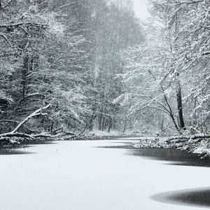 拉脱维亚降雪期间被雪覆盖的森林湖泊