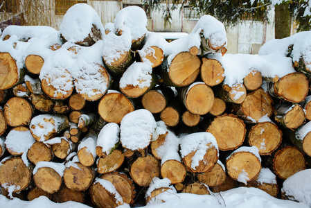 冬季森林中的伐木栈