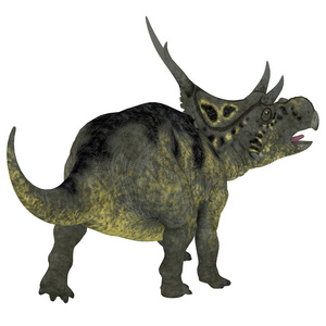 diabloceratops 是一个有角的草食恐龙, 居住在美国犹他州的白垩纪