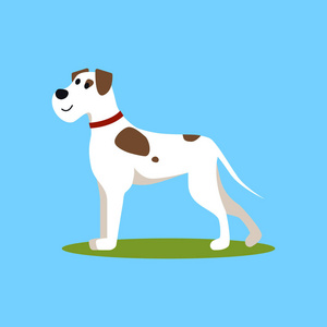 动画小狗开车图片