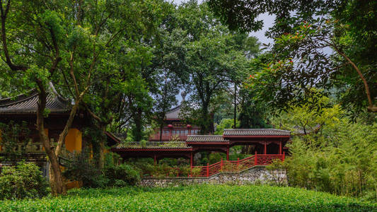 杭州永福寺树木中的中国传统建筑