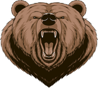 愤怒的熊头吉祥物凶猛的熊头棕色的熊吉祥物削减或抓矢量卡通愤怒的熊