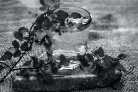 水与圣洁罗勒在透明的玻璃