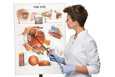 配镜师或眼科医生女人讲述眼睛的结构