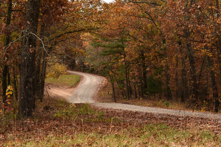 一条小路图片大全