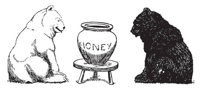 线描画罐子熊 2, 这张照片显示两只熊, 一只黑熊和一只白熊, 他们发现