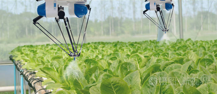 机器人 (自动化) 必须编程工作, 以喷洒化学, 肥料或提高效率, 种植