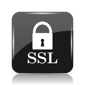 Ssl 图标。白色背景上的互联网按钮